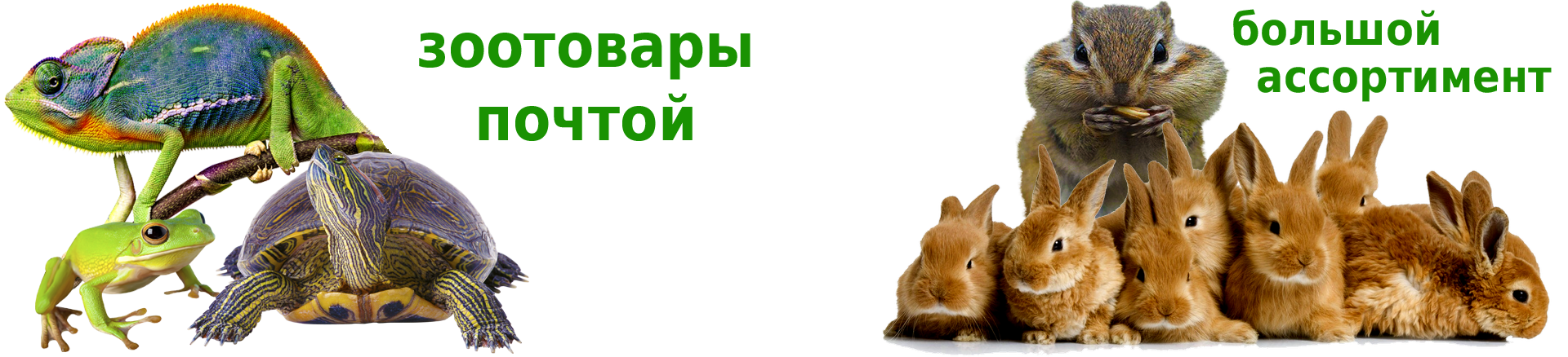 зоотовары